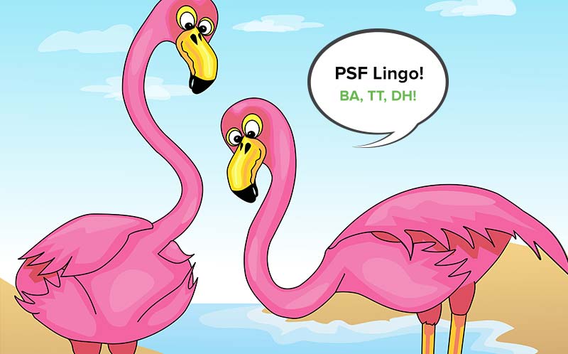 PSF Lingo